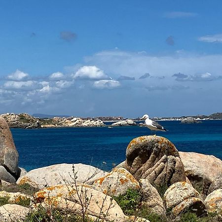 Maison Non Fumeur - Jardin 5 Personnes Proche Des Plages Finisteriennes Guipavas Экстерьер фото