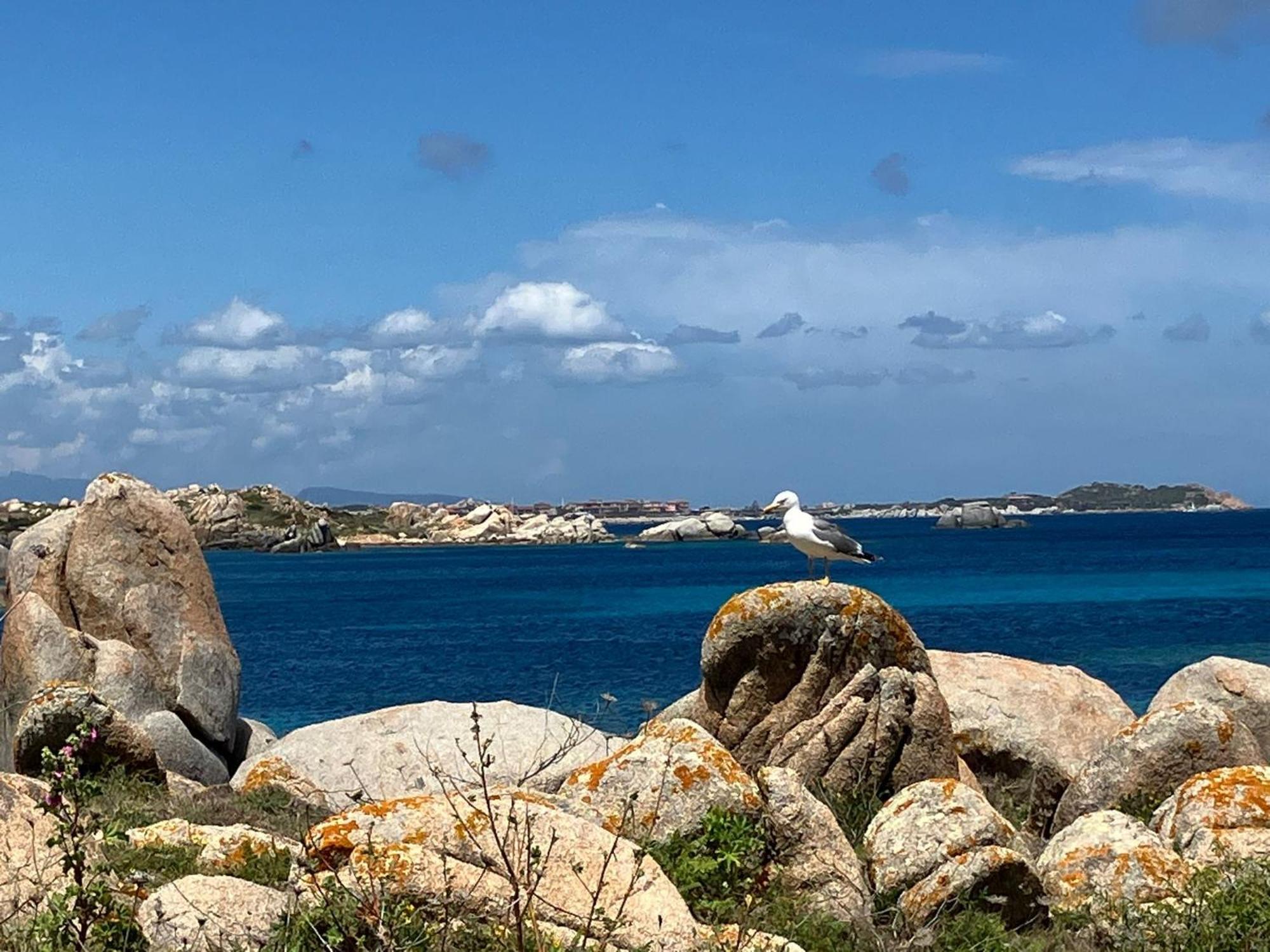 Maison Non Fumeur - Jardin 5 Personnes Proche Des Plages Finisteriennes Guipavas Экстерьер фото